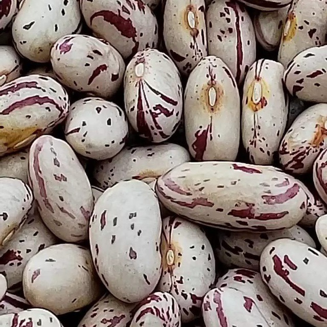 photo_2022-05-15_20-43-57 (1)