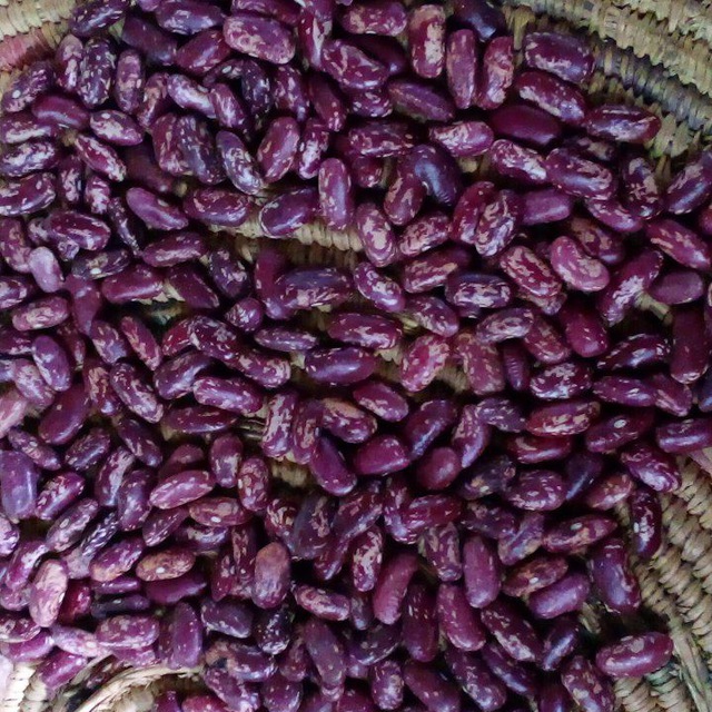 photo_2023-10-17_22-41-58